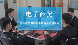  電子商務專業(yè)